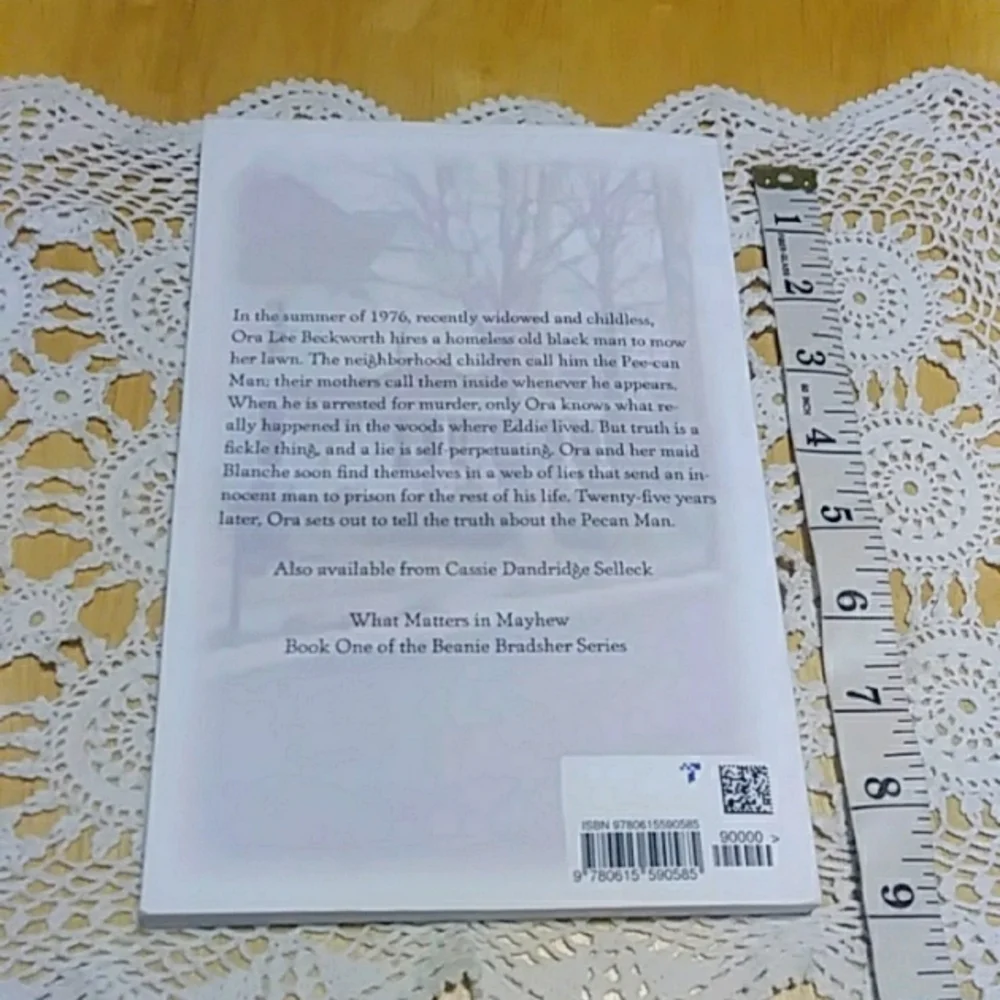 Book Sale! 3 for $10! Murder Mystery - The Pecan Man